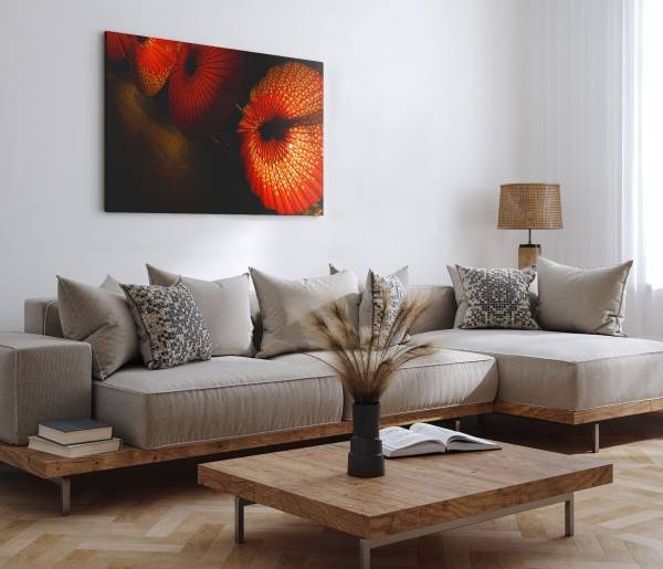 Paul Sinus Art 120x80cm Wandbild auf Leinwand Rote Papierschirme Asien Laternen Sonnenschirme Online