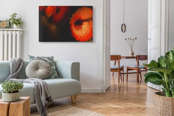 Paul Sinus Art 120x80cm Wandbild auf Leinwand Rote Papierschirme Asien Laternen Sonnenschirme Online