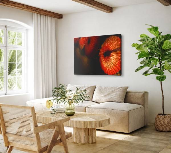 Paul Sinus Art 120x80cm Wandbild auf Leinwand Rote Papierschirme Asien Laternen Sonnenschirme Online