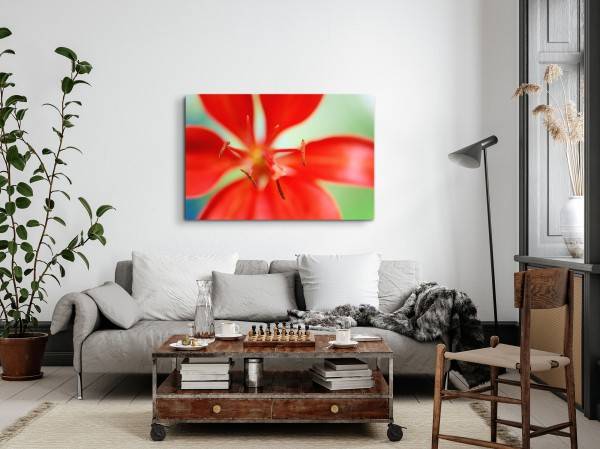 Paul Sinus Art 120x80cm Wandbild auf Leinwand Rote Lilie Blume Blüte Makrofotografie Kunstvoll Angebote