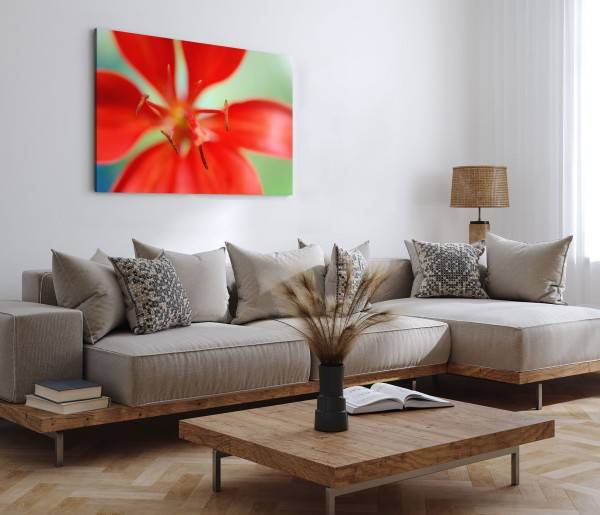 Paul Sinus Art 120x80cm Wandbild auf Leinwand Rote Lilie Blume Blüte Makrofotografie Kunstvoll Angebote