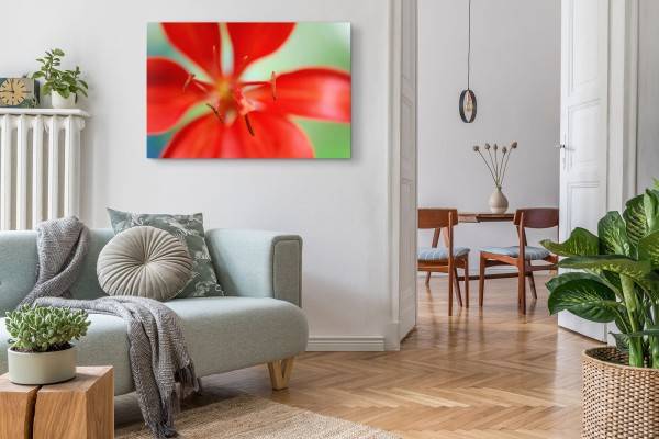 Paul Sinus Art 120x80cm Wandbild auf Leinwand Rote Lilie Blume Blüte Makrofotografie Kunstvoll Angebote