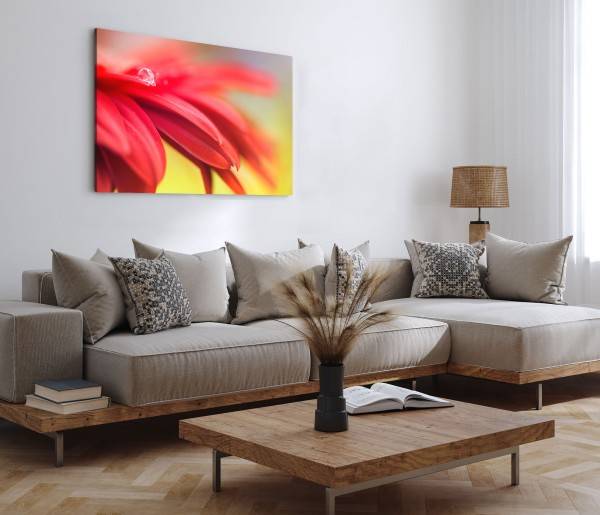 Paul Sinus Art 120x80cm Wandbild auf Leinwand Rote Blume Blüte Wassertropfen Makrofotografie Hotsell