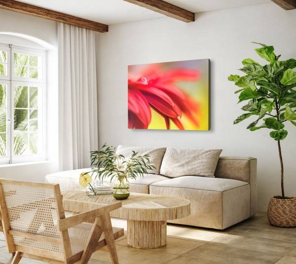 Paul Sinus Art 120x80cm Wandbild auf Leinwand Rote Blume Blüte Wassertropfen Makrofotografie Hotsell