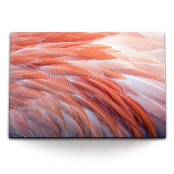 Paul Sinus Art 120x80cm Wandbild auf Leinwand Fotokunst Feder Federkleid Orange Kunstvoll