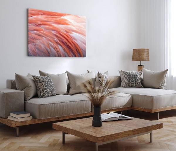 Paul Sinus Art 120x80cm Wandbild auf Leinwand Fotokunst Feder Federkleid Orange Kunstvoll im Angebot