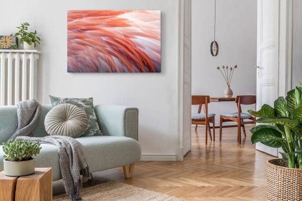 Paul Sinus Art 120x80cm Wandbild auf Leinwand Fotokunst Feder Federkleid Orange Kunstvoll im Angebot