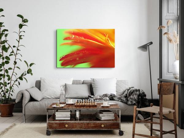 Paul Sinus Art 120x80cm Wandbild auf Leinwand Blume Blüte Orange Wassertropfen Makrofotografie Schlussverkauf