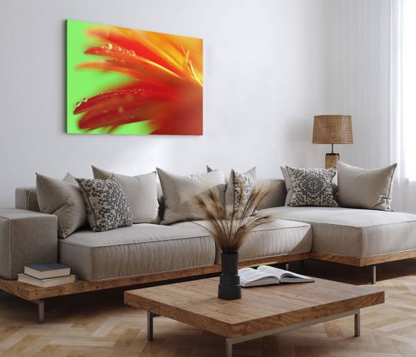 Paul Sinus Art 120x80cm Wandbild auf Leinwand Blume Blüte Orange Wassertropfen Makrofotografie Schlussverkauf