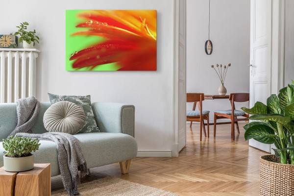 Paul Sinus Art 120x80cm Wandbild auf Leinwand Blume Blüte Orange Wassertropfen Makrofotografie Schlussverkauf