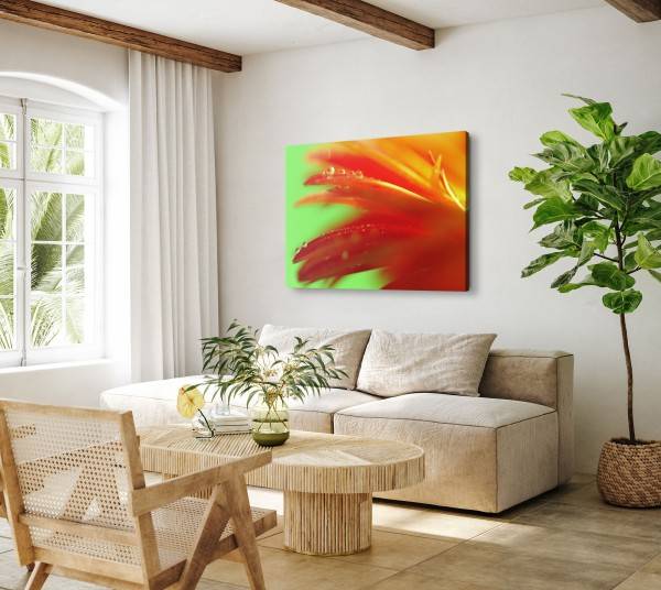 Paul Sinus Art 120x80cm Wandbild auf Leinwand Blume Blüte Orange Wassertropfen Makrofotografie Schlussverkauf