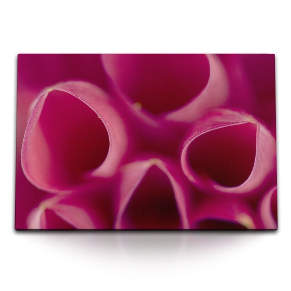 Paul Sinus Art 120x80cm Wandbild auf Leinwand Nahaufnahme Blüte Blume Rosa Kunstvoll