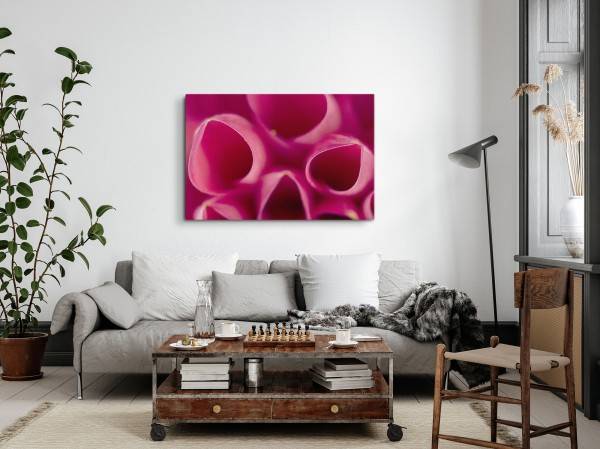 Paul Sinus Art 120x80cm Wandbild auf Leinwand Nahaufnahme Blüte Blume Rosa Kunstvoll Günstiger Verkauf