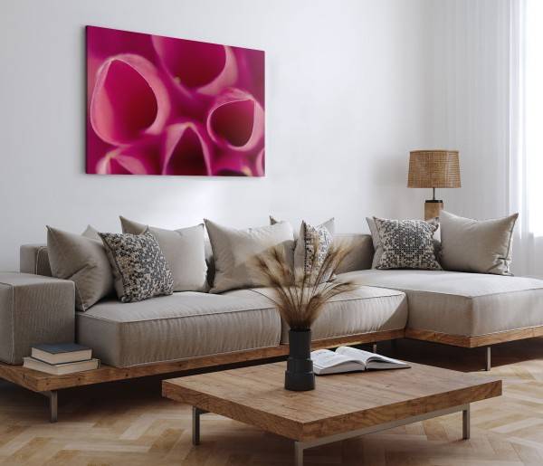 Paul Sinus Art 120x80cm Wandbild auf Leinwand Nahaufnahme Blüte Blume Rosa Kunstvoll Günstiger Verkauf