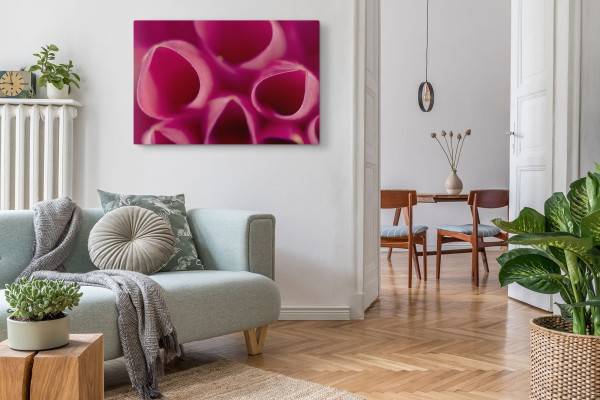 Paul Sinus Art 120x80cm Wandbild auf Leinwand Nahaufnahme Blüte Blume Rosa Kunstvoll Günstiger Verkauf