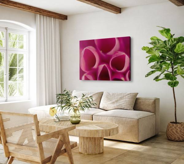 Paul Sinus Art 120x80cm Wandbild auf Leinwand Nahaufnahme Blüte Blume Rosa Kunstvoll Günstiger Verkauf