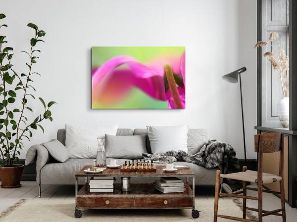Paul Sinus Art 120x80cm Wandbild auf Leinwand Makrofotografie Blume Exotisch Rosa Grün Fabrikverkauf