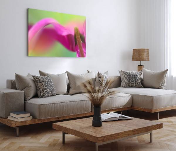 Paul Sinus Art 120x80cm Wandbild auf Leinwand Makrofotografie Blume Exotisch Rosa Grün Fabrikverkauf