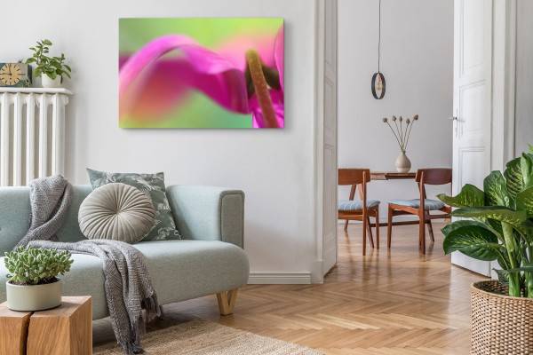 Paul Sinus Art 120x80cm Wandbild auf Leinwand Makrofotografie Blume Exotisch Rosa Grün Fabrikverkauf