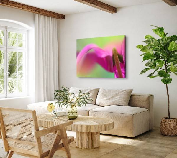Paul Sinus Art 120x80cm Wandbild auf Leinwand Makrofotografie Blume Exotisch Rosa Grün Fabrikverkauf