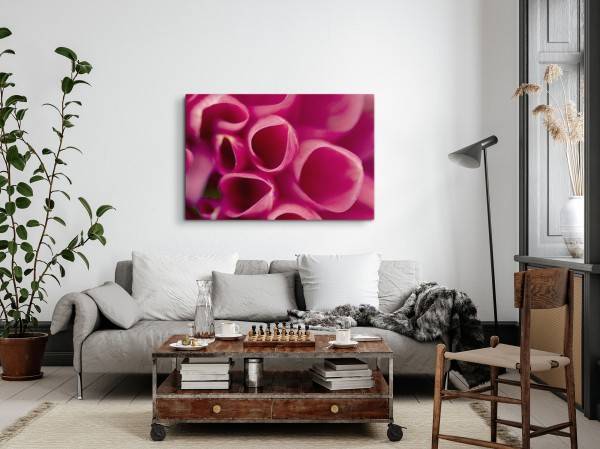 Paul Sinus Art 120x80cm Wandbild auf Leinwand Makrofotografie rosa Blüte Blume Kunstvoll Meist gekauft