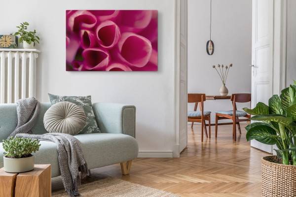 Paul Sinus Art 120x80cm Wandbild auf Leinwand Makrofotografie rosa Blüte Blume Kunstvoll Meist gekauft