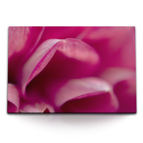 Paul Sinus Art 120x80cm Wandbild auf Leinwand Rosa Blüte Nahaufnahme Kunstvoll Schlafzimmer