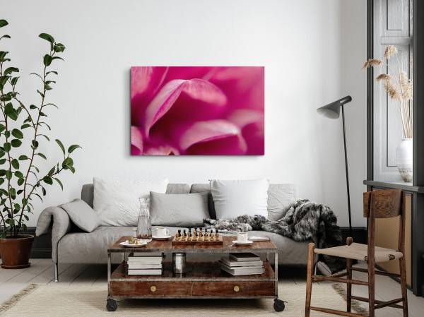 Paul Sinus Art 120x80cm Wandbild auf Leinwand Rosa Blüte Nahaufnahme Kunstvoll Schlafzimmer Blitzverkäufe