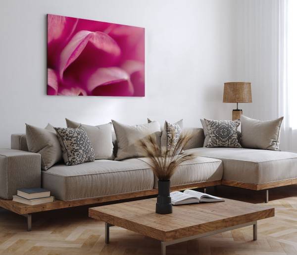 Paul Sinus Art 120x80cm Wandbild auf Leinwand Rosa Blüte Nahaufnahme Kunstvoll Schlafzimmer Blitzverkäufe
