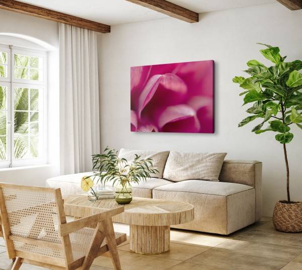 Paul Sinus Art 120x80cm Wandbild auf Leinwand Rosa Blüte Nahaufnahme Kunstvoll Schlafzimmer Blitzverkäufe