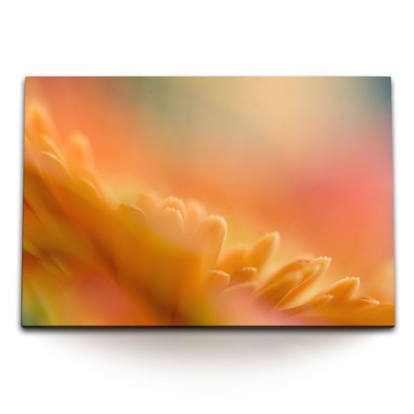 Paul Sinus Art 120x80cm Wandbild auf Leinwand Blume Blüte Orange Nahaufnahme Abstrakt Kunstvoll