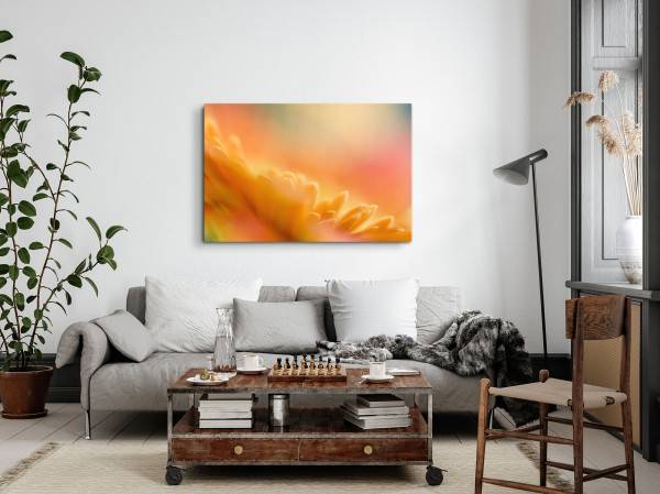 Paul Sinus Art 120x80cm Wandbild auf Leinwand Blume Blüte Orange Nahaufnahme Abstrakt Kunstvoll Kostenloser Versand