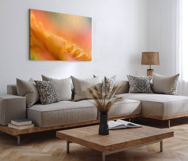 Paul Sinus Art 120x80cm Wandbild auf Leinwand Blume Blüte Orange Nahaufnahme Abstrakt Kunstvoll Kostenloser Versand