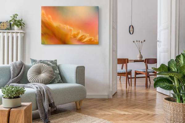 Paul Sinus Art 120x80cm Wandbild auf Leinwand Blume Blüte Orange Nahaufnahme Abstrakt Kunstvoll Kostenloser Versand