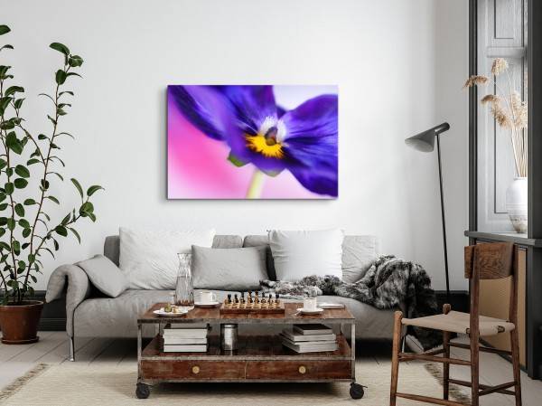Paul Sinus Art 120x80cm Wandbild auf Leinwand Blume Blüte Violett Makroaufnahme Fotokunst Limitierter Zeitrabatt