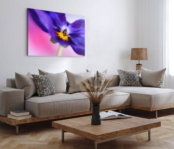 Paul Sinus Art 120x80cm Wandbild auf Leinwand Blume Blüte Violett Makroaufnahme Fotokunst Limitierter Zeitrabatt