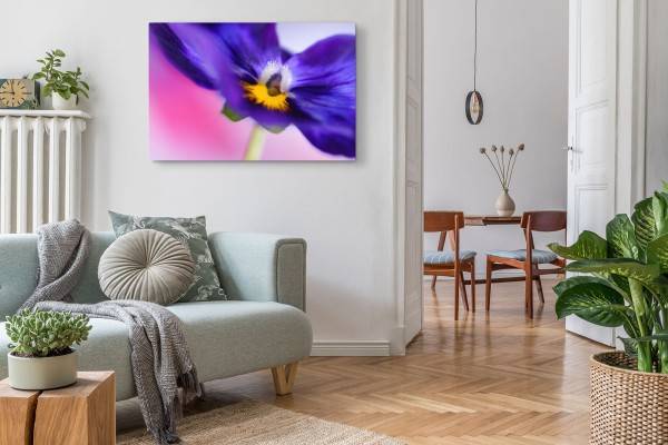 Paul Sinus Art 120x80cm Wandbild auf Leinwand Blume Blüte Violett Makroaufnahme Fotokunst Limitierter Zeitrabatt