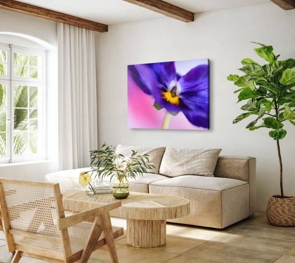 Paul Sinus Art 120x80cm Wandbild auf Leinwand Blume Blüte Violett Makroaufnahme Fotokunst Limitierter Zeitrabatt