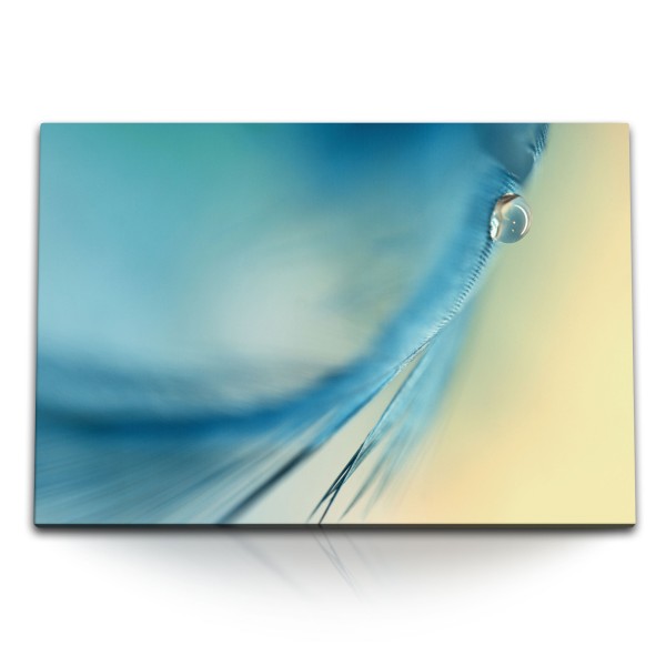 Paul Sinus Art 120x80cm Wandbild auf Leinwand Blaue Feder Makrofotografie Wassertropfen Kunstvoll