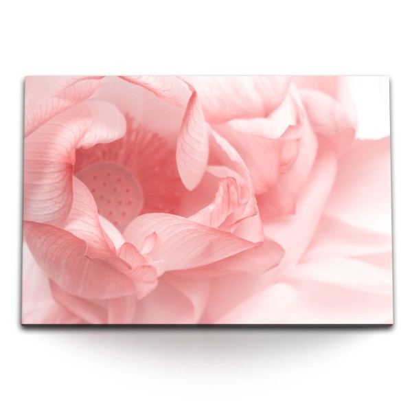 Paul Sinus Art 120x80cm Wandbild auf Leinwand Rosa Blüte Blume Fotokunst Hell Nahaufnahme