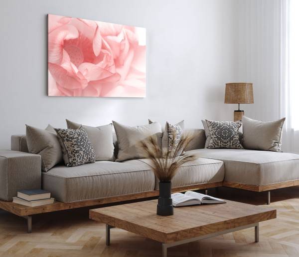 Paul Sinus Art 120x80cm Wandbild auf Leinwand Rosa Blüte Blume Fotokunst Hell Nahaufnahme Sonderangebot