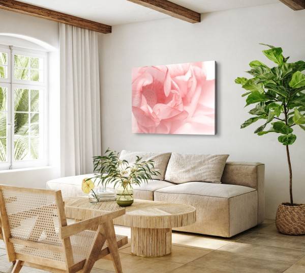 Paul Sinus Art 120x80cm Wandbild auf Leinwand Rosa Blüte Blume Fotokunst Hell Nahaufnahme Sonderangebot