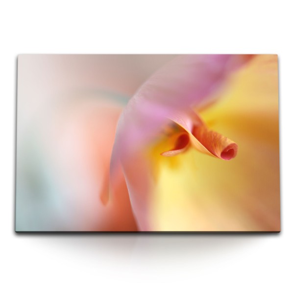 Paul Sinus Art 120x80cm Wandbild auf Leinwand Fotokunst Blume Blüte Makro Orange