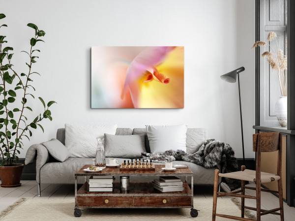 Paul Sinus Art 120x80cm Wandbild auf Leinwand Fotokunst Blume Blüte Makro Orange Rabatt