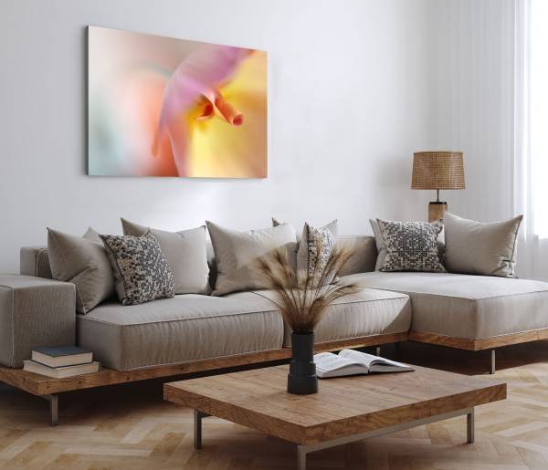 Paul Sinus Art 120x80cm Wandbild auf Leinwand Fotokunst Blume Blüte Makro Orange Rabatt
