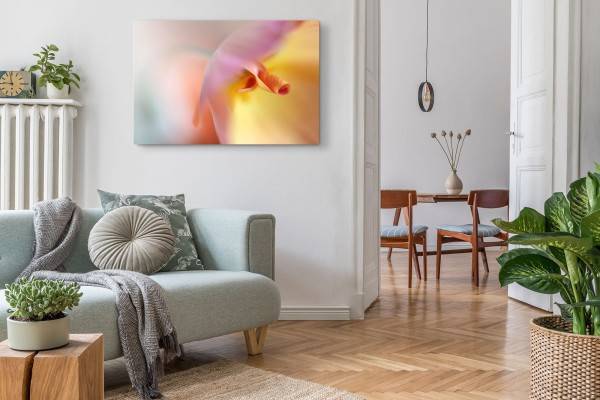 Paul Sinus Art 120x80cm Wandbild auf Leinwand Fotokunst Blume Blüte Makro Orange Rabatt