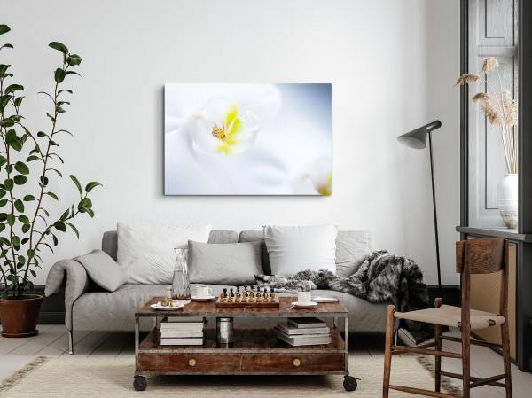 Paul Sinus Art 120x80cm Wandbild auf Leinwand Weiße Orchidee Blume Blüte Nahaufnahme Hell Günstig kaufen