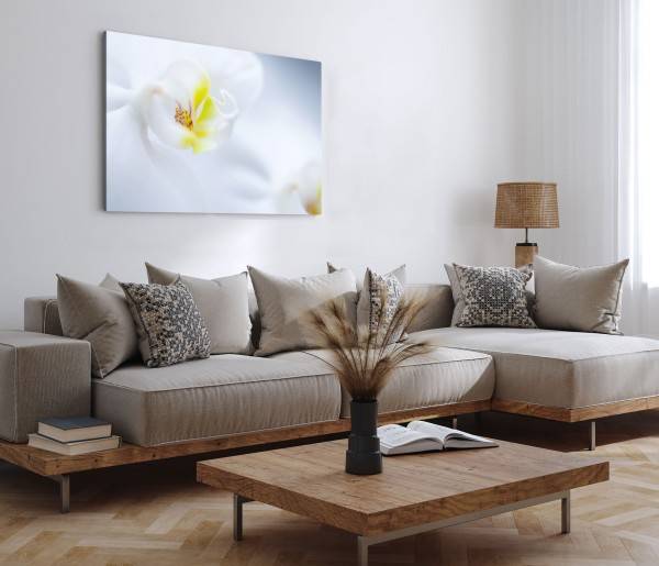 Paul Sinus Art 120x80cm Wandbild auf Leinwand Weiße Orchidee Blume Blüte Nahaufnahme Hell Günstig kaufen