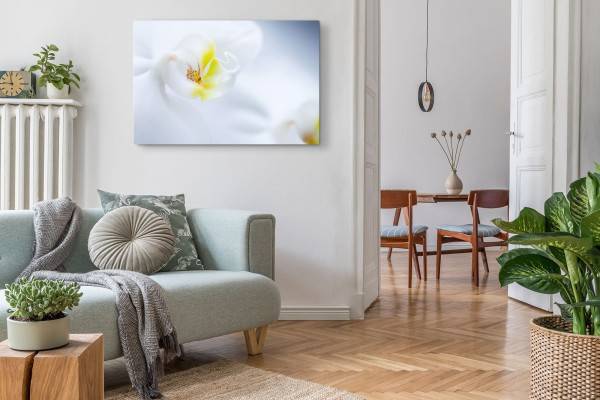 Paul Sinus Art 120x80cm Wandbild auf Leinwand Weiße Orchidee Blume Blüte Nahaufnahme Hell Günstig kaufen