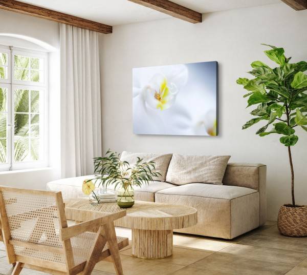 Paul Sinus Art 120x80cm Wandbild auf Leinwand Weiße Orchidee Blume Blüte Nahaufnahme Hell Günstig kaufen